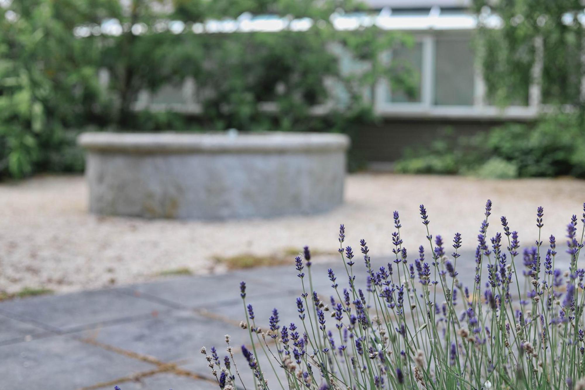 Powerscourt Springs Health Farm Wicklow Ngoại thất bức ảnh
